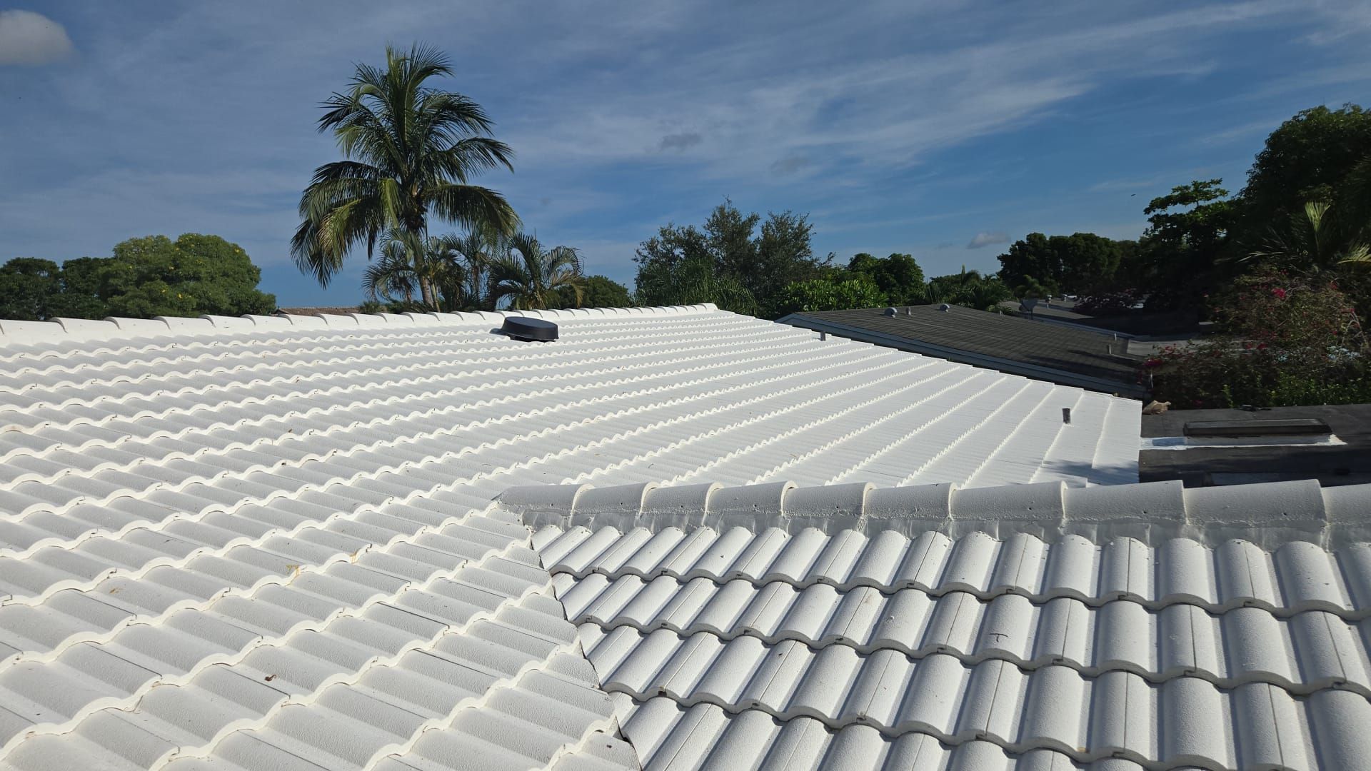 A white, tiled roof under a sunny blue sky with a palm tree in the background.