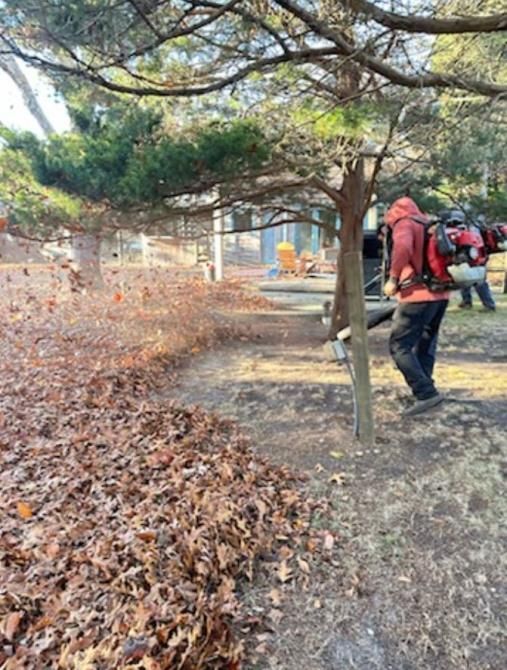 A large tree in the middle of a grassy field