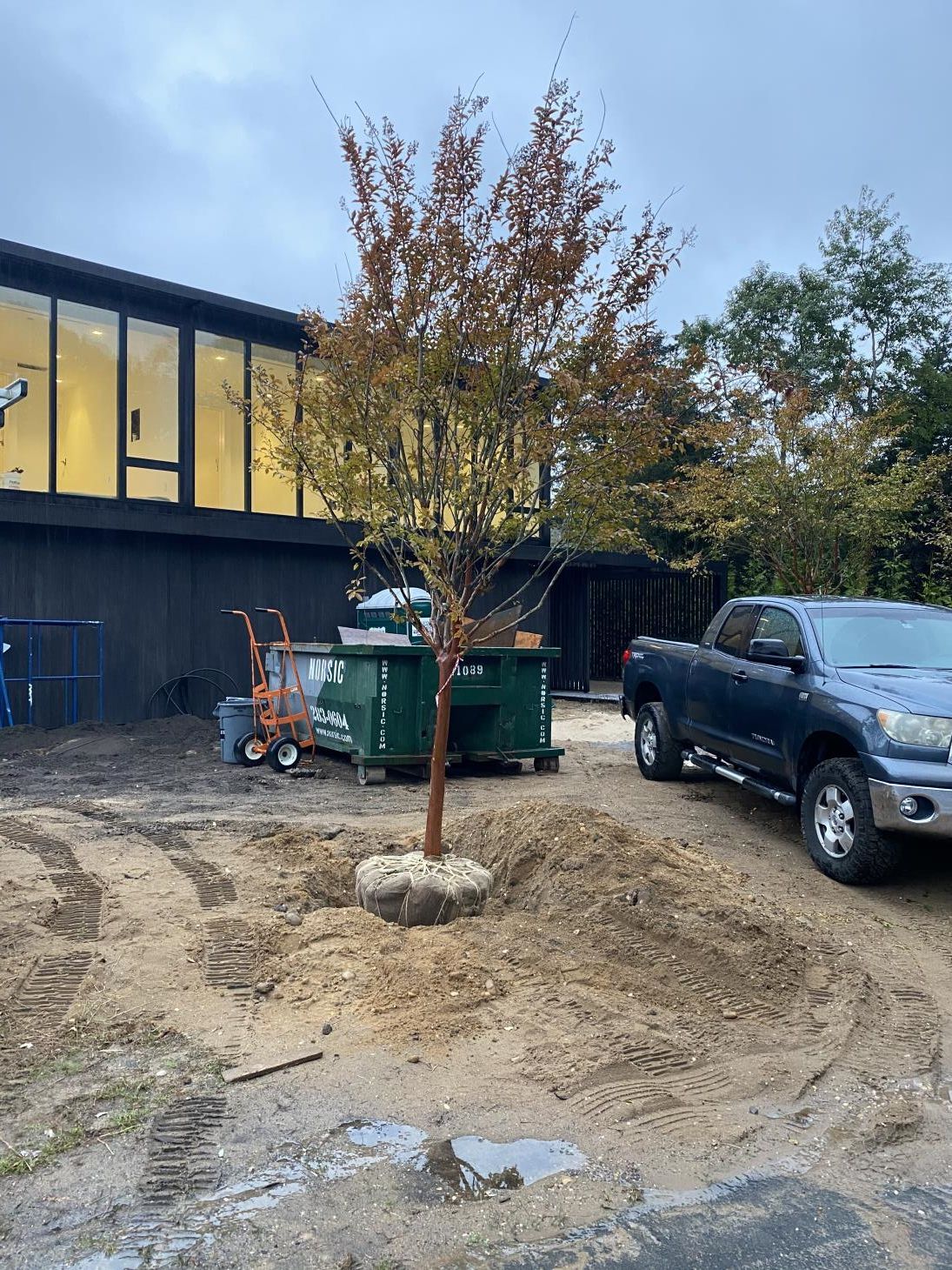A log is laying on the ground in the middle of a forest.