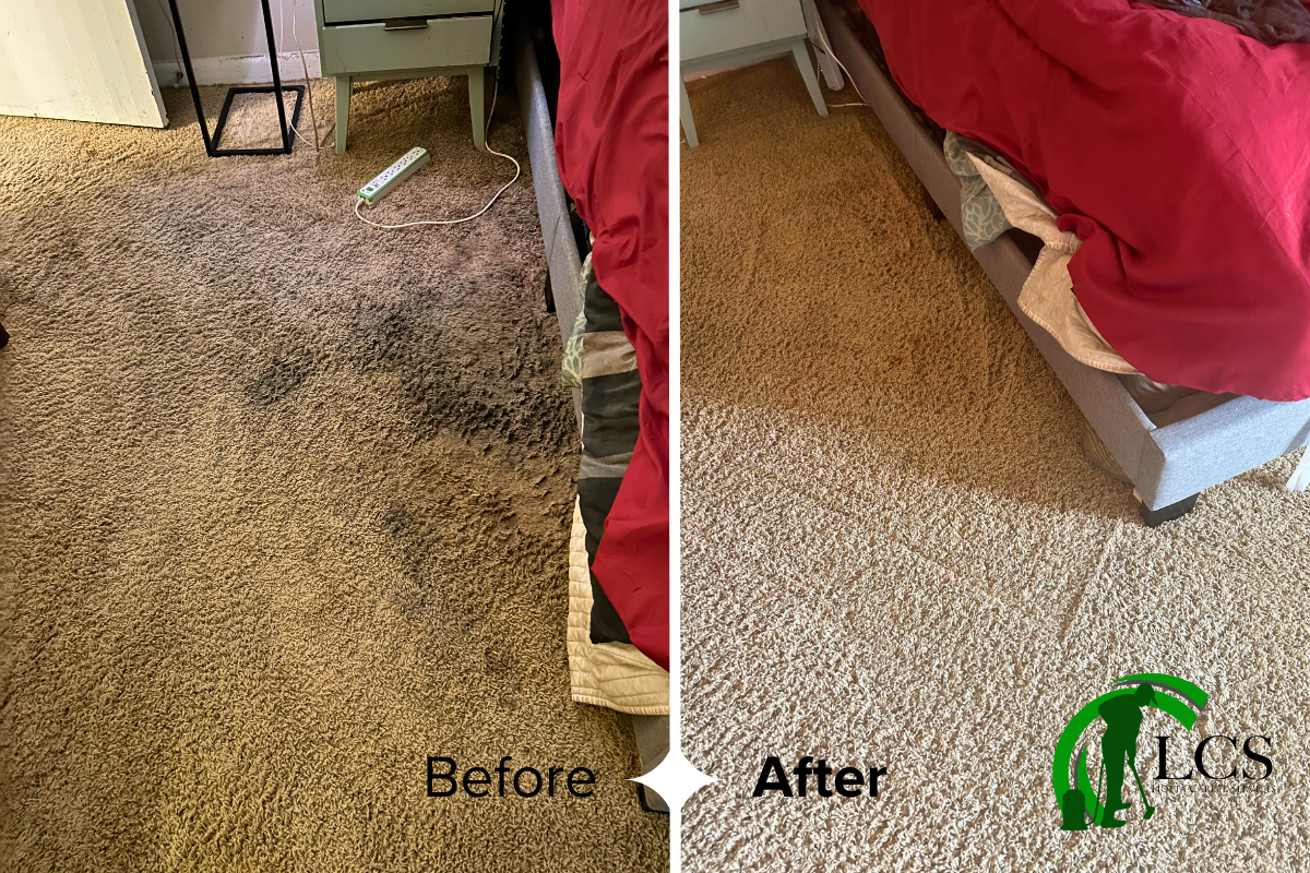 before and after carpet cleaning