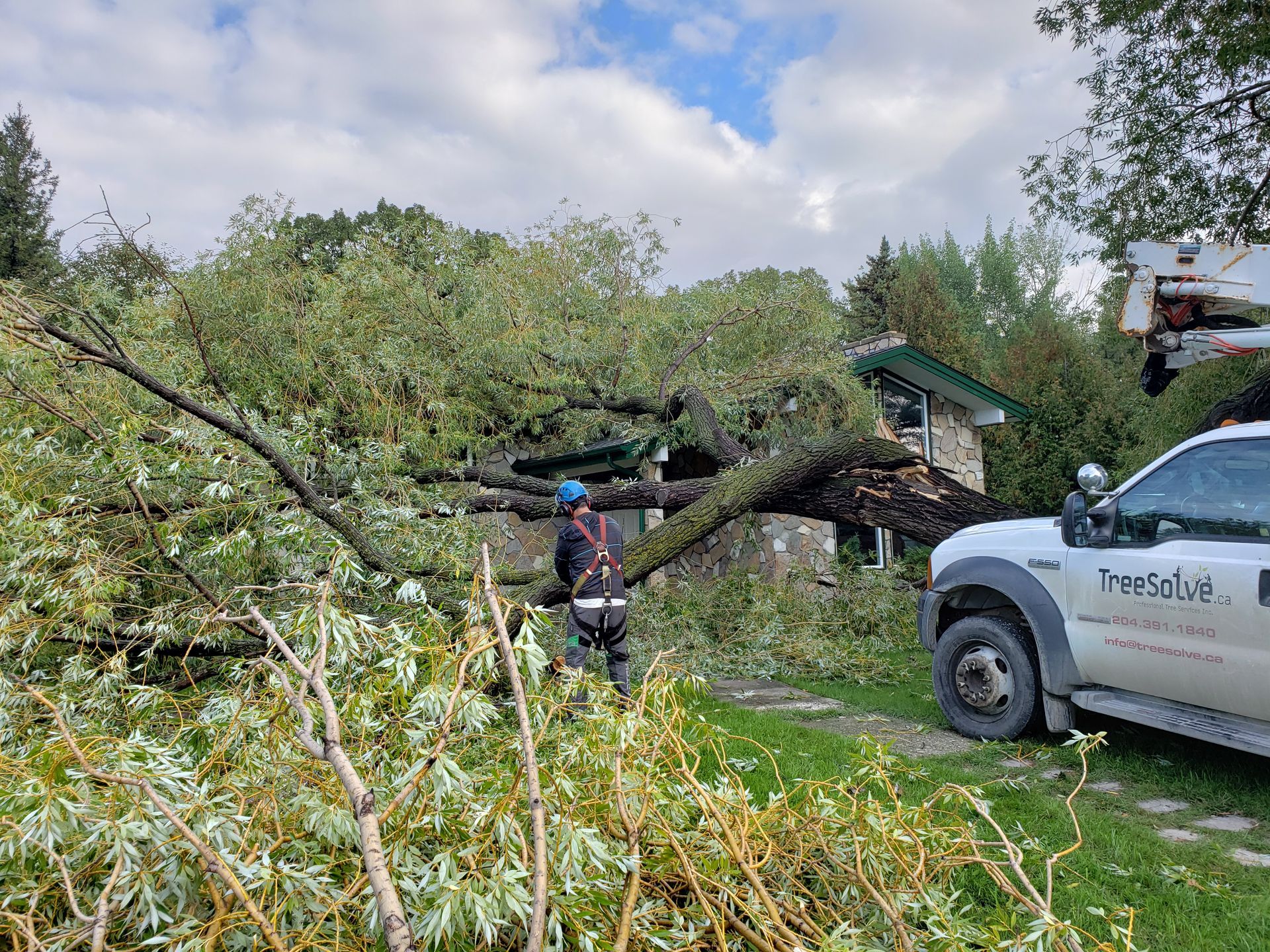 Removing Broken Limb
