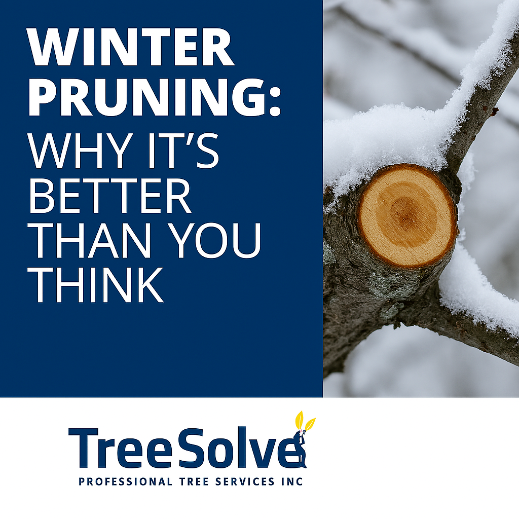 Winter Pruning