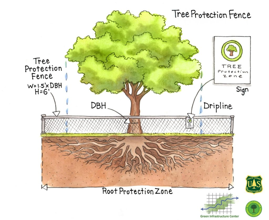 Tree Protection Strategy