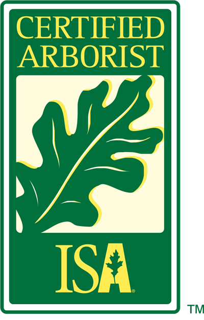 ICA Logo