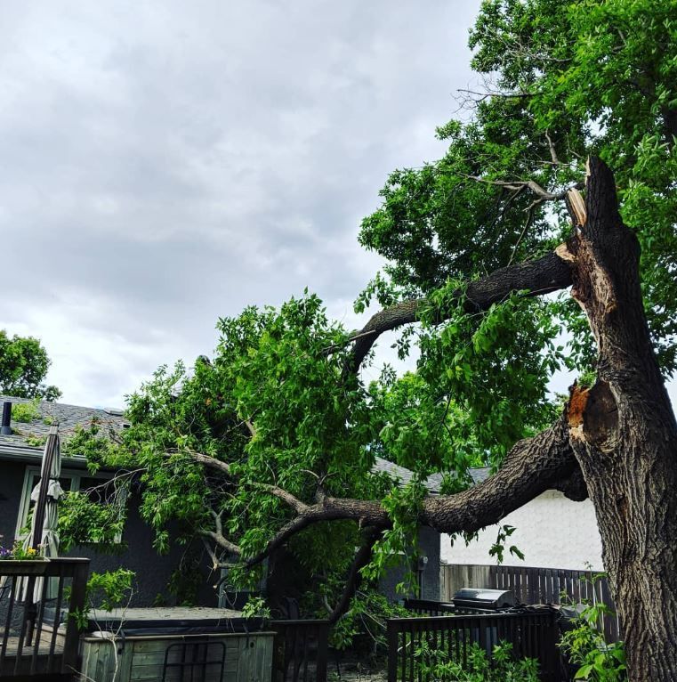 Broken Tree Limb Close To House Roof
