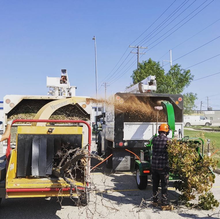 Branches Being Chipped