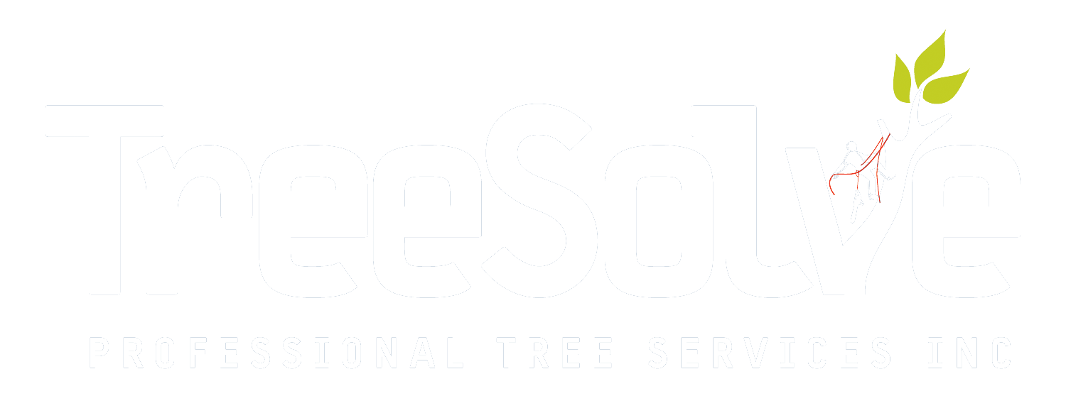 TreeSolve Logo