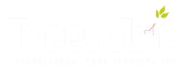 TreeSolve Logo