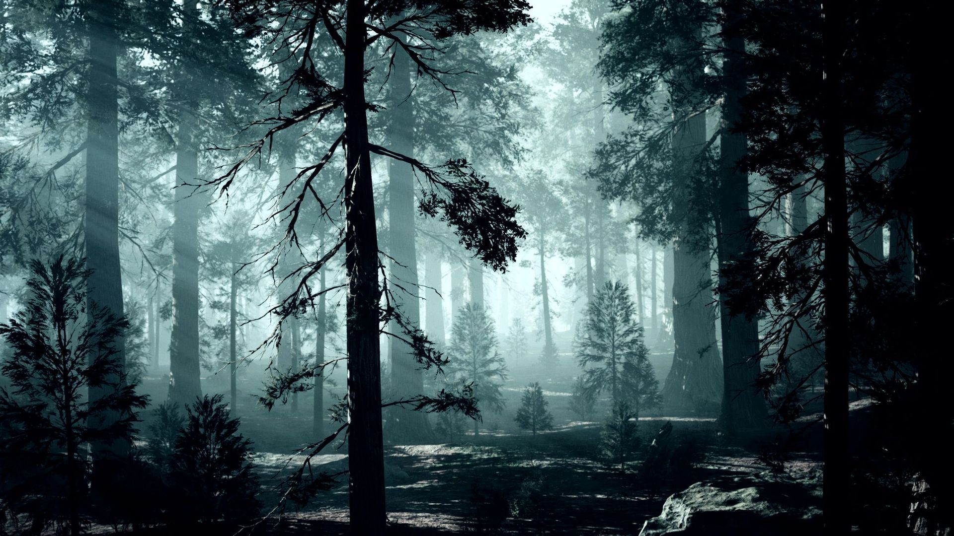 The Spring Tree Health Checklist