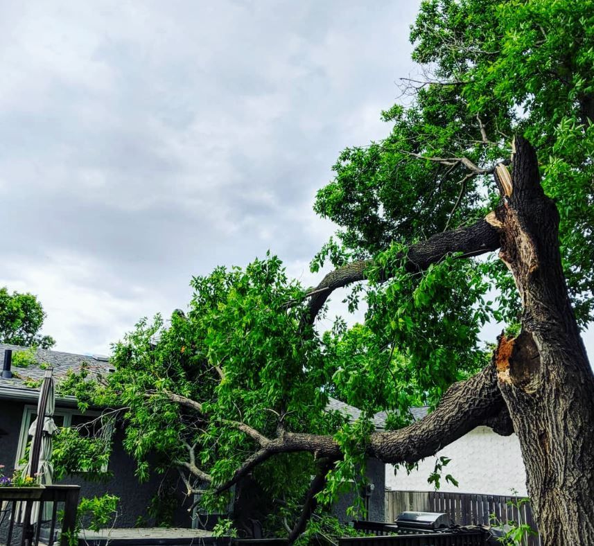 Storm Damage