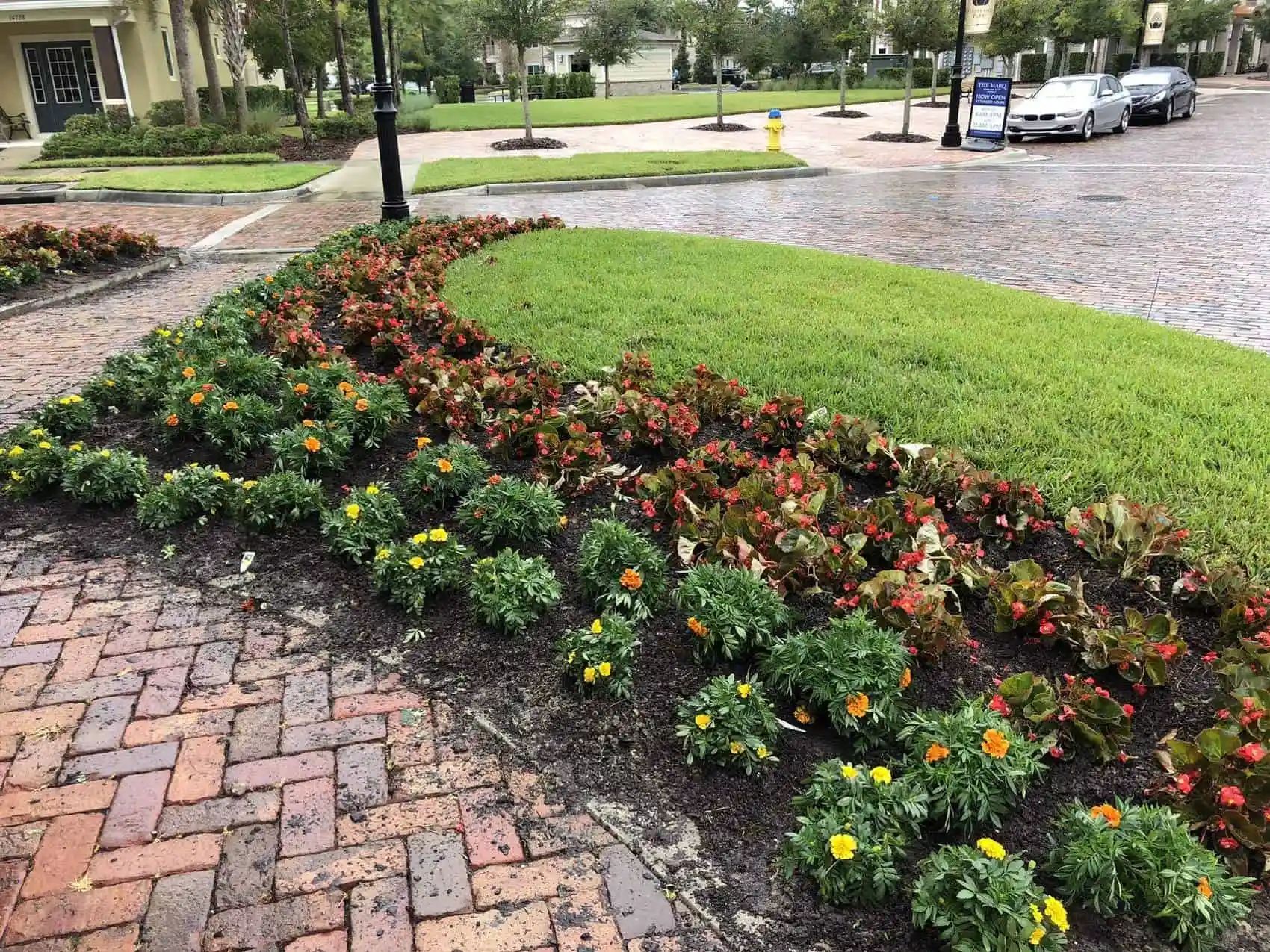 Flower bed with green, red, and yellow plants, on a brick walkway, with a green grassy knoll, and buildings in the background.