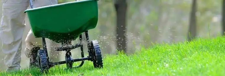 A person spreading fertilizer on a grassy lawn with a green spreader. The grass is vibrant green, and the background is blurred.