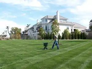 A person fertilizing a large, green lawn in front of a large, white house on a sunny day.