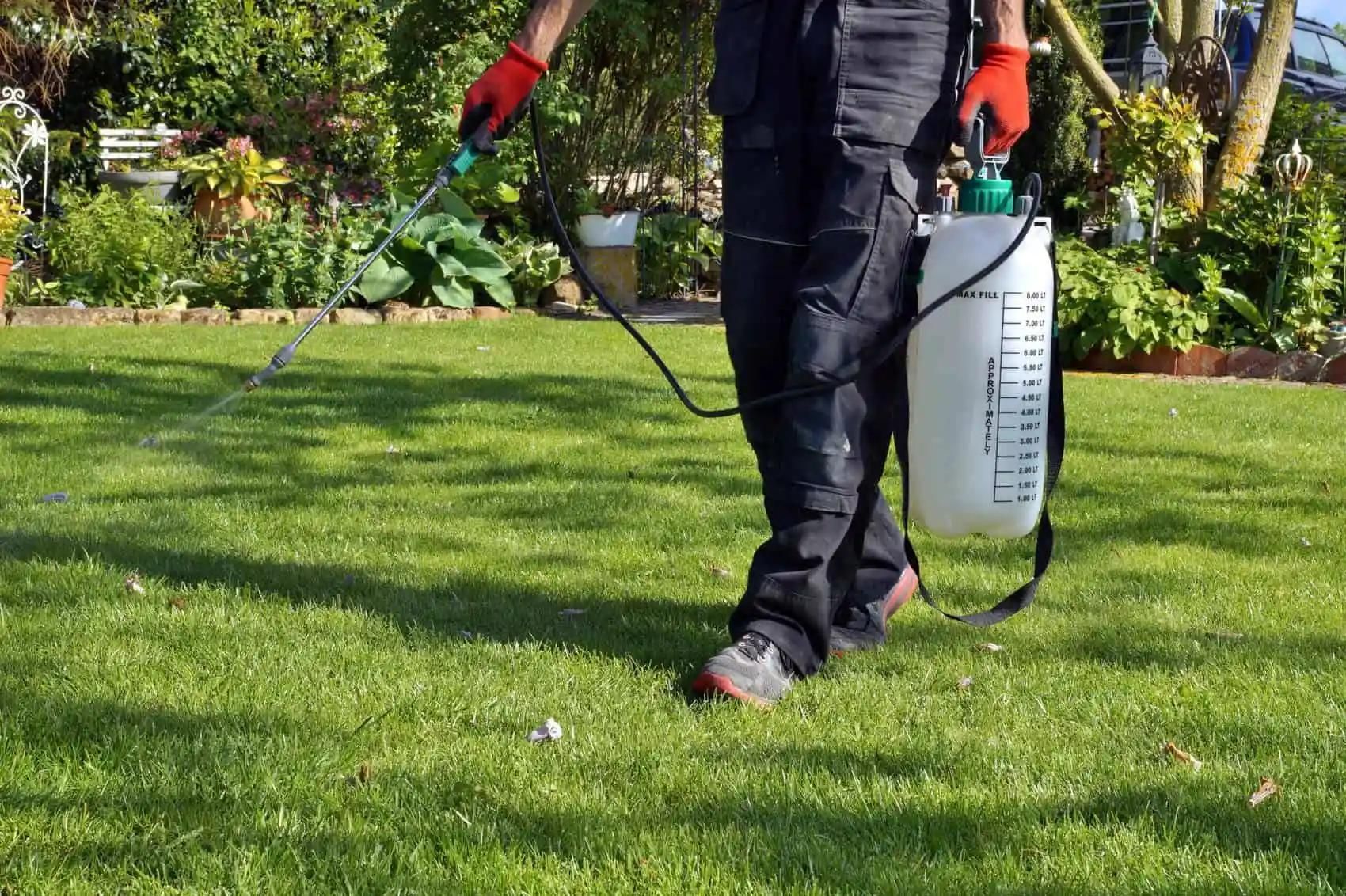 A person in work clothes sprays a lawn with a backpack sprayer, likely applying chemicals in a sunny garden.