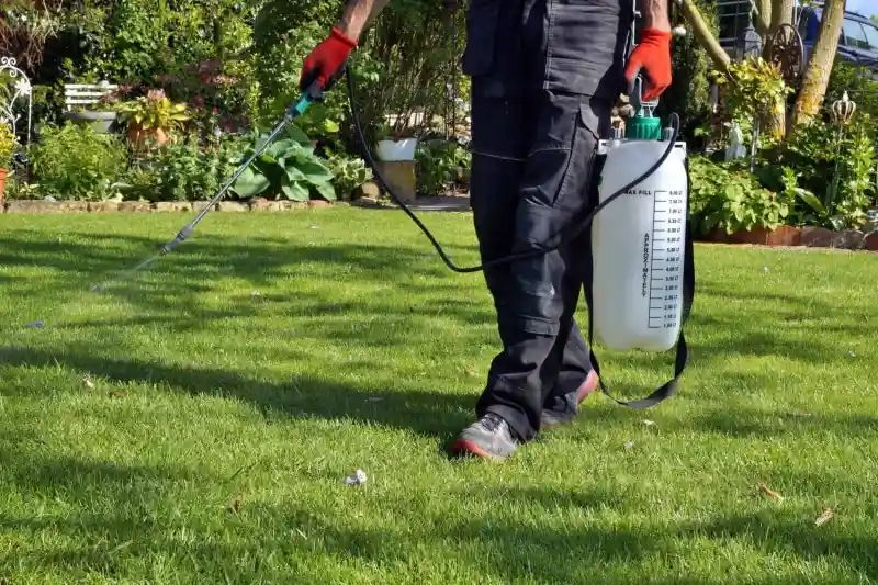 Person spraying a green lawn with a white and green sprayer; sunny garden setting.