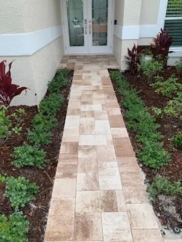 A paved walkway leading to a front door, flanked by small green bushes and red-leaved plants in a garden setting.
