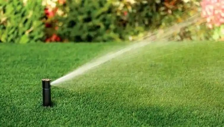 A pop-up sprinkler watering a green lawn in a garden, with blurred greenery in the background.