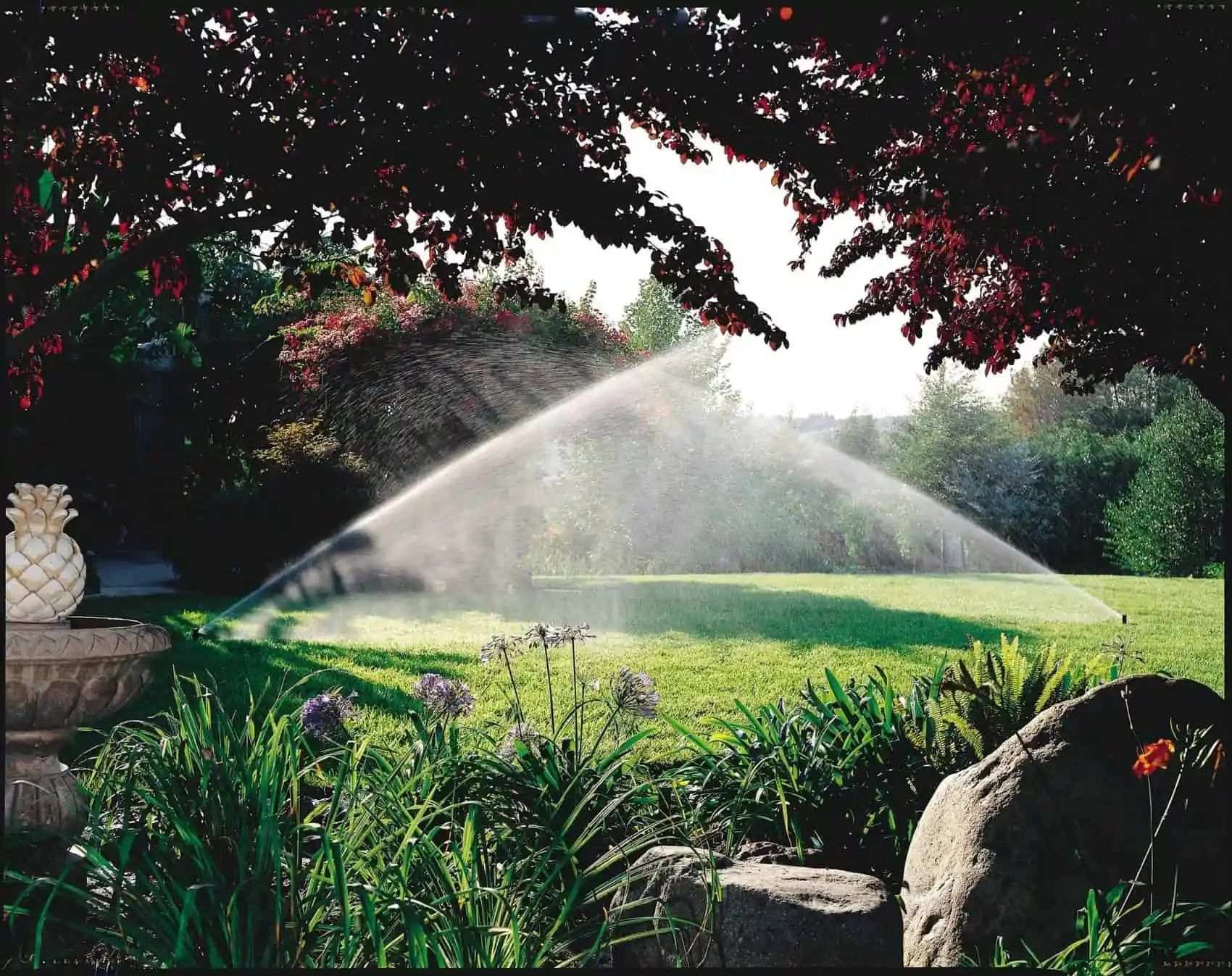 Sprinkler watering a green lawn in a garden framed by trees and bushes, sunny day.