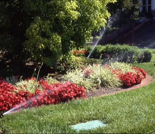 Lawn sprinkler watering a colorful flower bed and green grass under a tree.