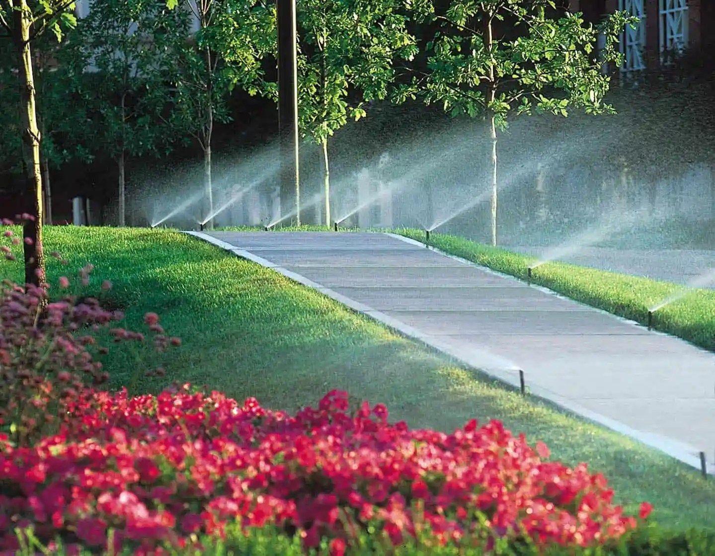 Sprinklers watering a green lawn and red flowerbed next to a concrete path lined with trees.