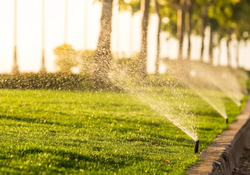 Sprinklers watering a green lawn on a sunny day, with trees in the background.