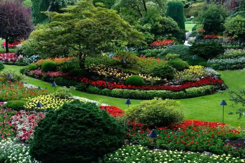 A vibrant garden with colorful flower beds, green grass, and a mature tree.