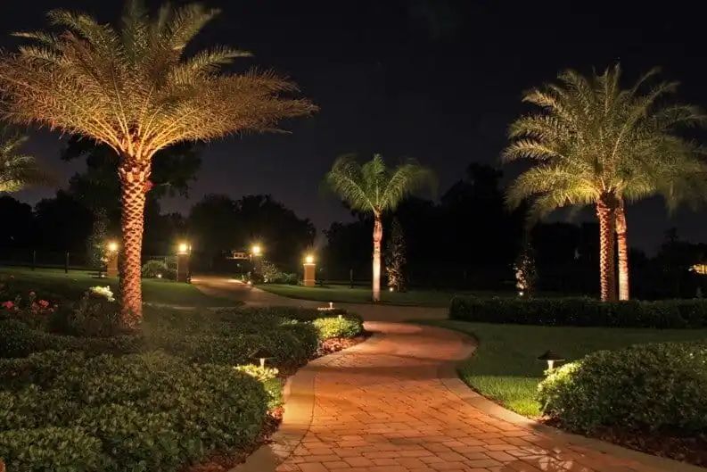 Pathway illuminated by landscape lighting at night, highlighting palm trees and hedges along a brick path.
