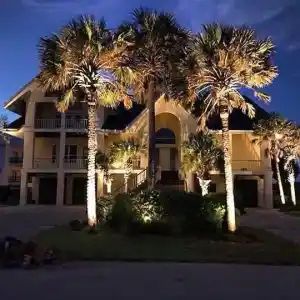 Night view of a large house with palm trees illuminated by spotlights. A dark blue sky serves as the backdrop.