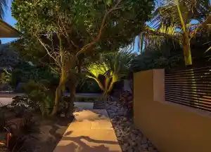 Pathway illuminated by outdoor lights, flanked by lush greenery and a tan wall with a dark horizontal fence.