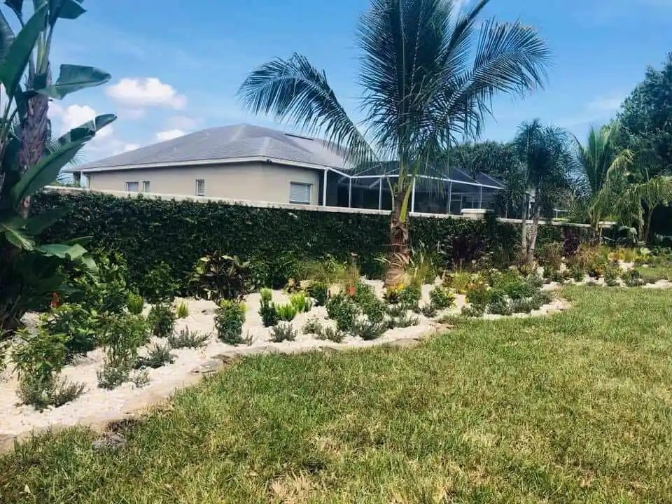A landscaped yard with a home in the background, featuring green hedges, various plants, white stones, and a palm tree.
