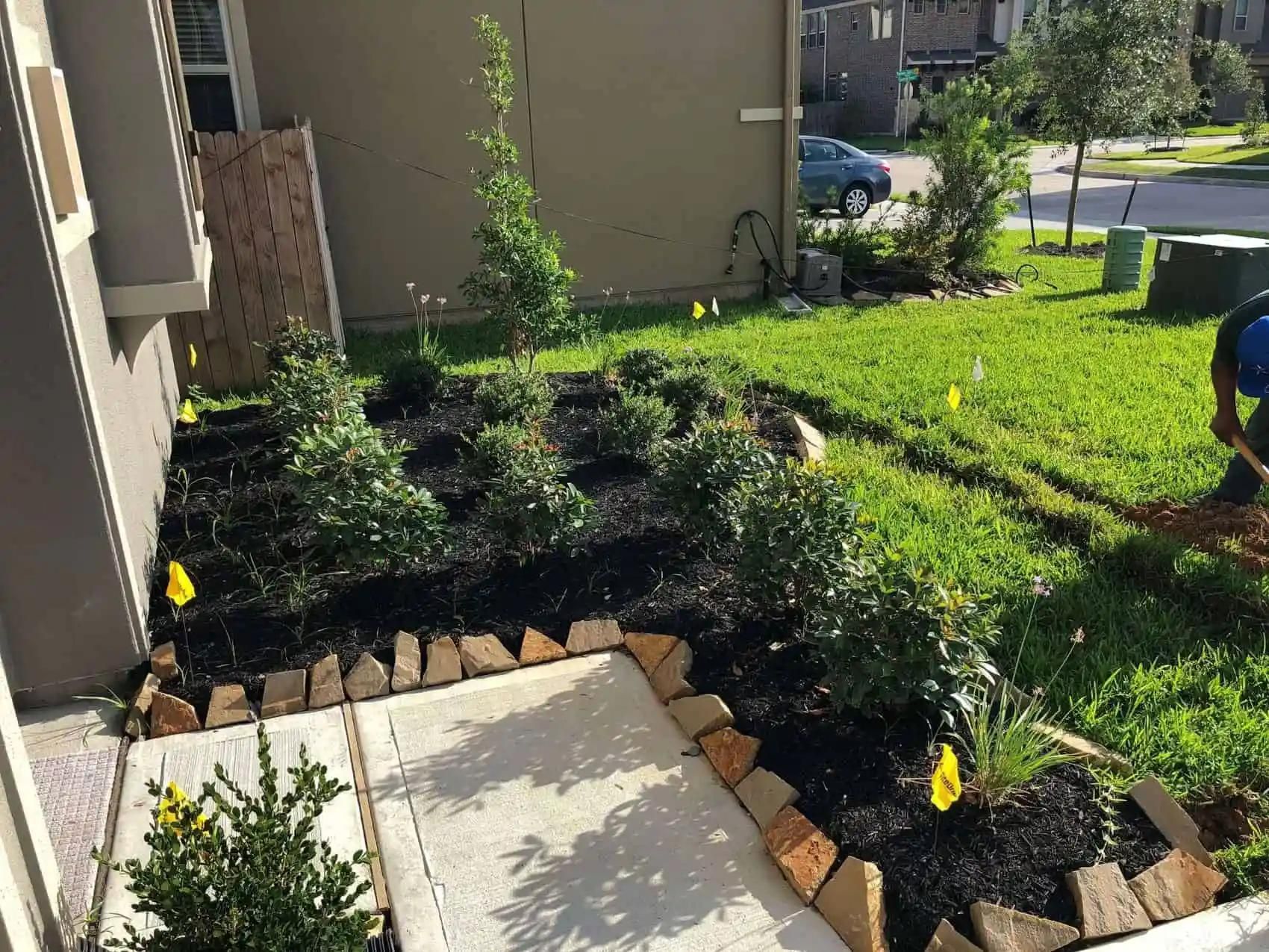A front yard landscaping project in progress. Mulched flower beds with green bushes and small trees. A person is working on the grass.
