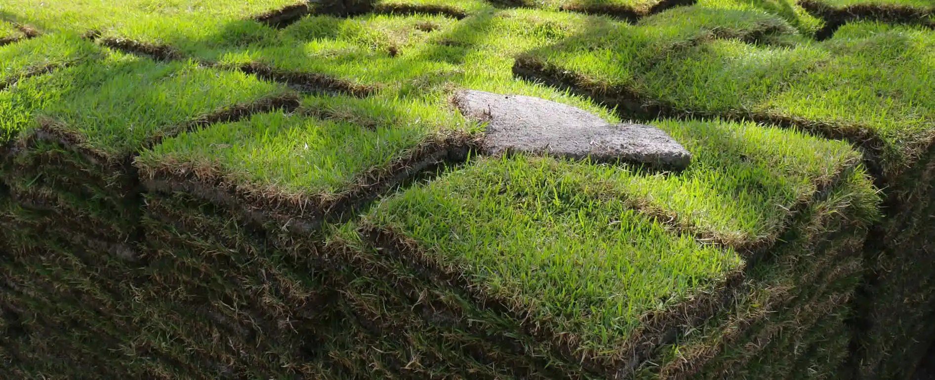 Stacks of sod, the squares of grass arranged in layers. The grass is green and fresh, ready for installation.