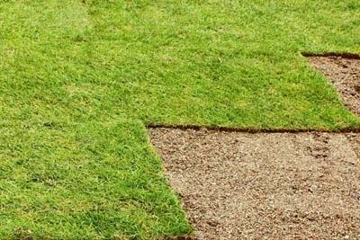 Green grass sod being installed on prepared brown soil.