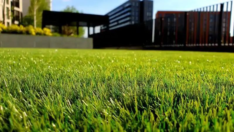Close-up of vibrant green artificial turf with modern buildings and landscaping in the background.