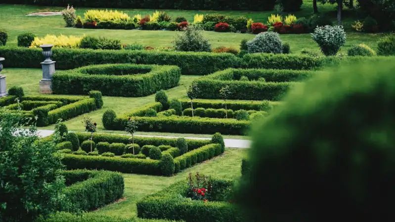 Manicured garden with green hedges forming geometric shapes on a grassy lawn.