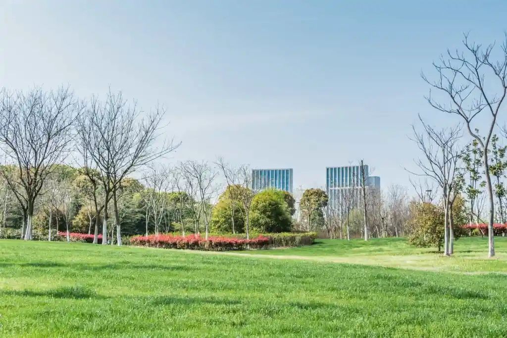Green park with bare trees, bushes, and modern buildings under a blue sky.