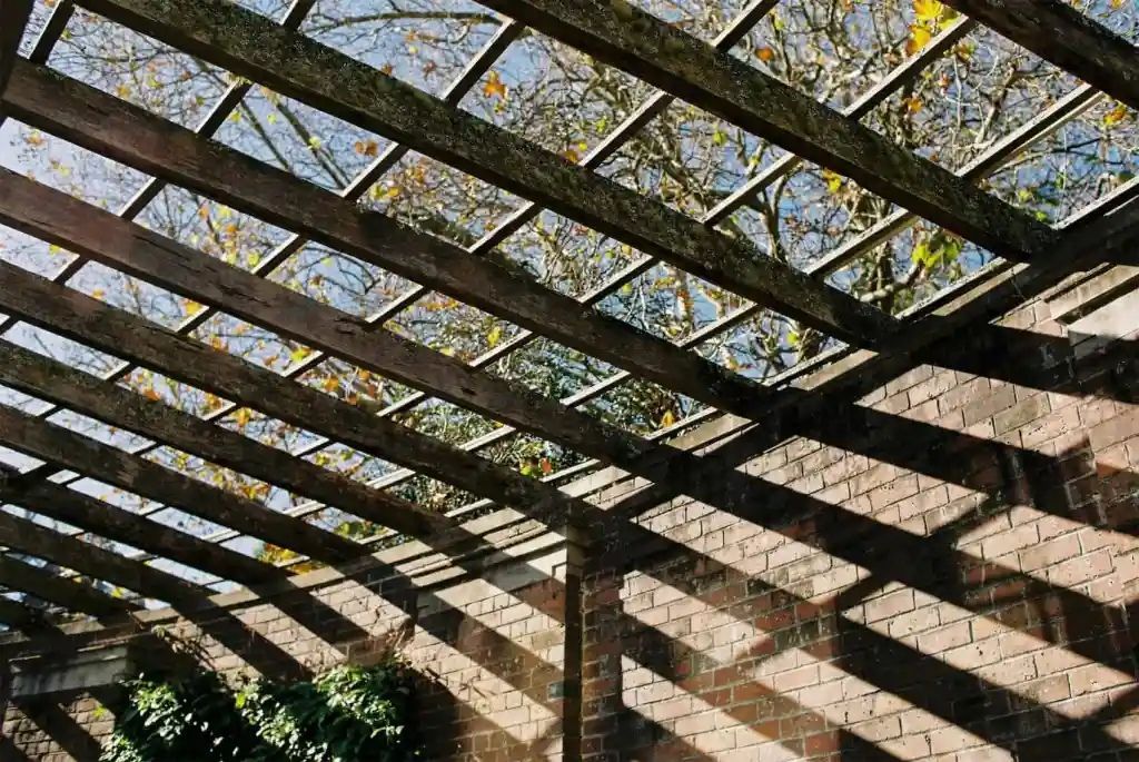 Wooden pergola casting patterned shadows on a brick wall, with sunlight and foliage visible in the background.