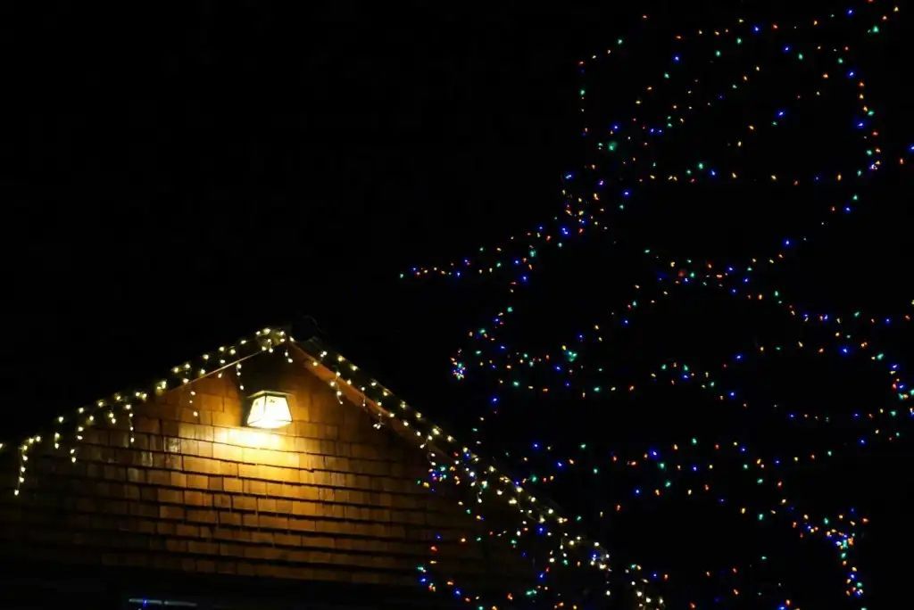 A house roof adorned with Christmas lights glows next to a dark tree strung with colorful lights at night.