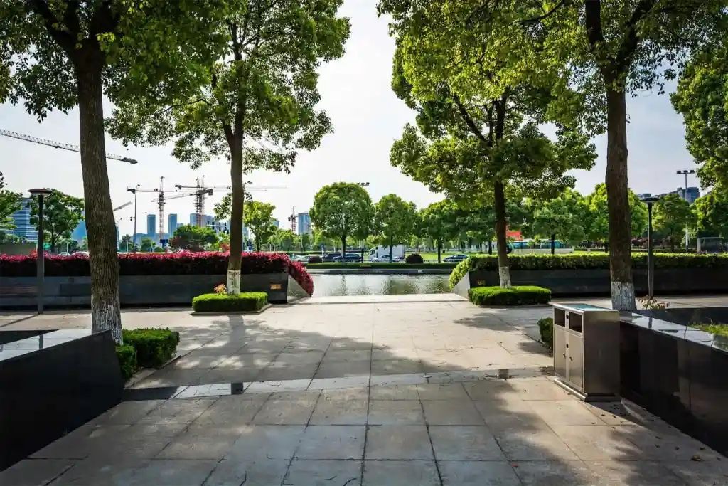 Park pathway lined with trees, leading to a pond. Lush green foliage and blue sky overhead.
