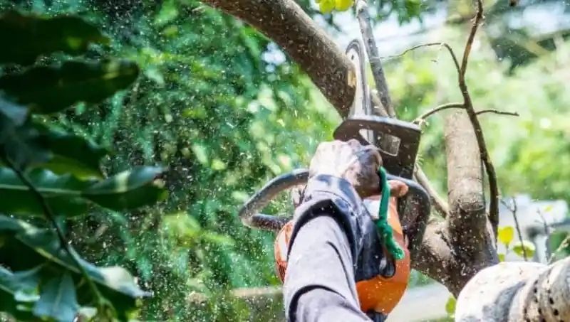 Person using a chainsaw to cut a tree branch, with wood chips flying.