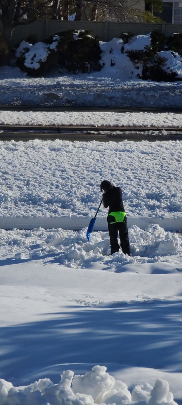 A person is shoveling snow on a sunny day