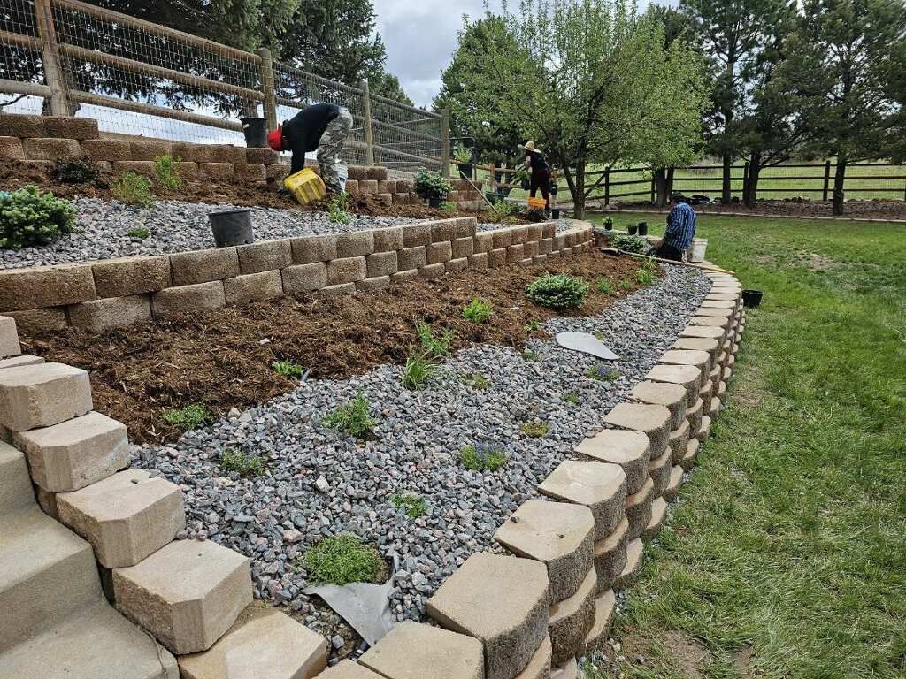 A group of people are working on a hillside garden.