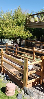 A wooden fence with a deck in the background.