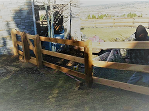 A man in a cowboy hat is standing behind a wooden fence.