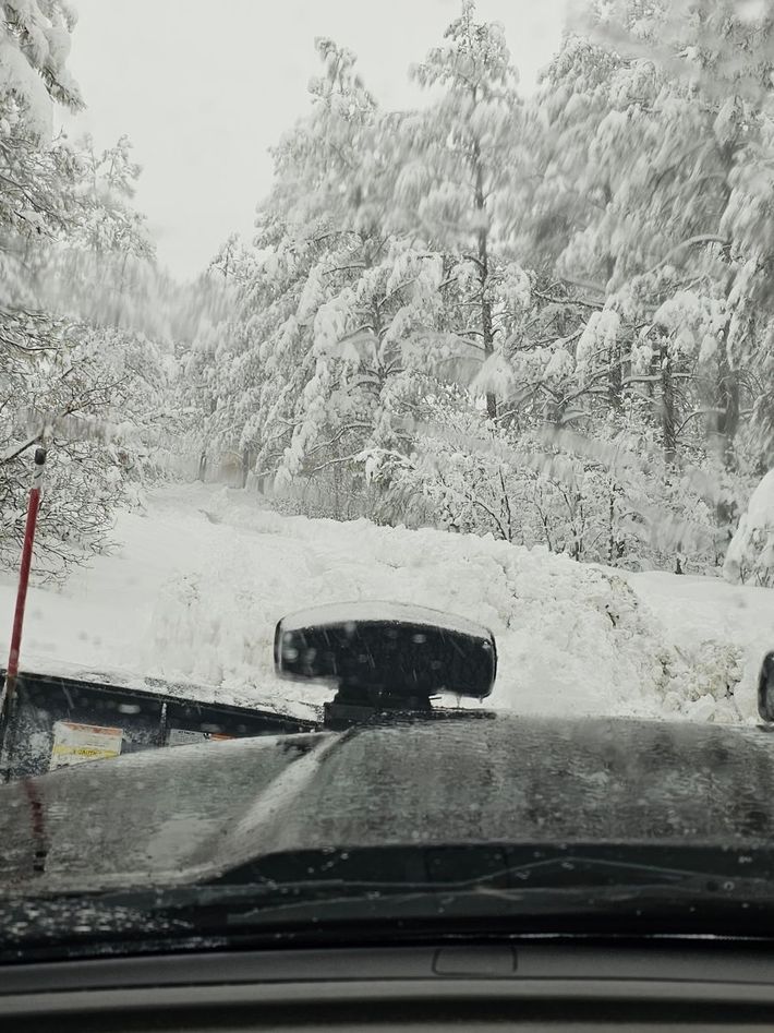 A car is driving down a snowy road with trees covered in snow.