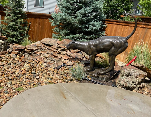 A Statue of a Cat Standing on a Rock in a Garden