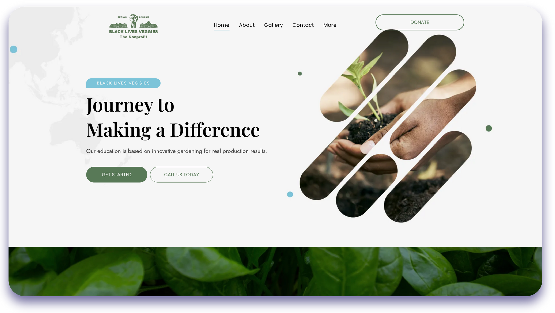 A journey to making a difference website with a picture of a person holding a plant.