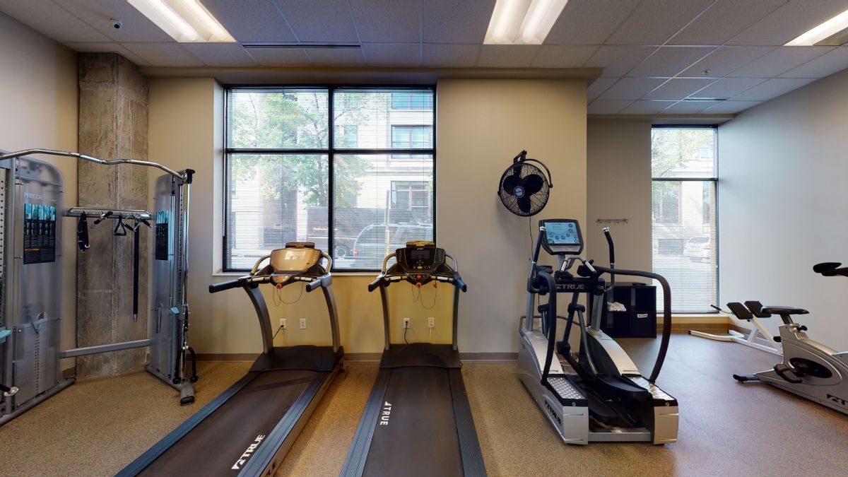 treadmills and work out equipment