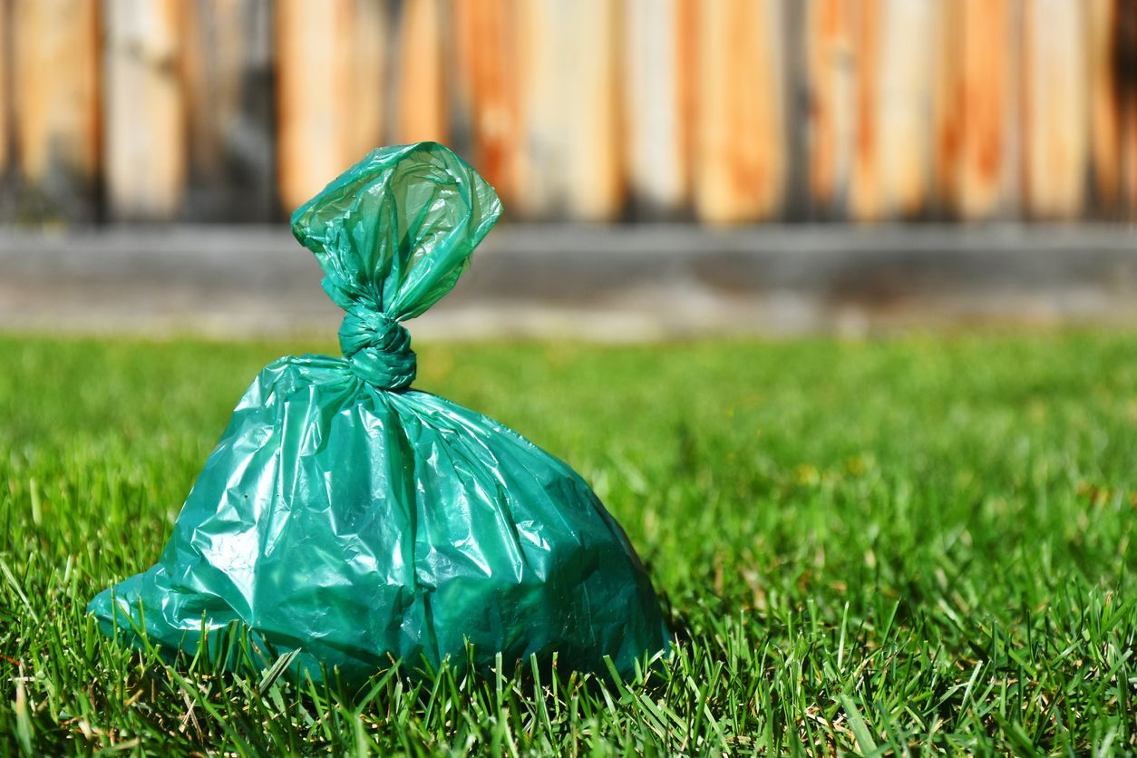 A green plastic bag is sitting on top of a lush green lawn.