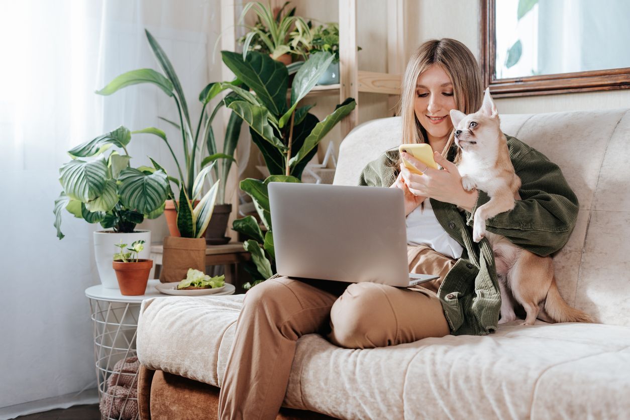 A woman is sitting on a couch with a laptop and a cat.